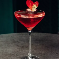 178a8246_1654_bar_1654_bar. Webp