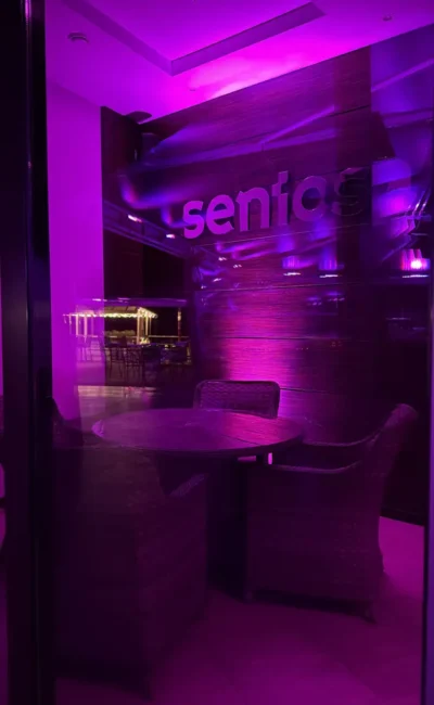 Karaoke «sentosa club» | feel like a star | dnipro